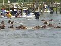 Chincoteague Pony Swim July 2007 059